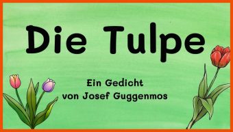 Die Tulpe Guggenmos Arbeitsblätter