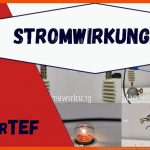 Die Wirkungen Des Elektrischen Stroms - Stromwirkungen Fuer Wirkungen Des Elektrischen Stroms Arbeitsblatt