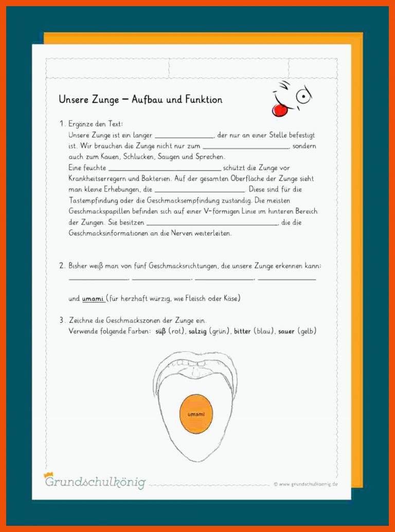 Die Zunge für zunge geschmackszonen arbeitsblatt