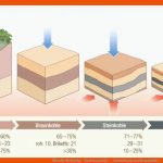 Diercke Weltatlas - Kartenansicht - - Entstehung Von Braunkohle ... Fuer Entstehung Kohle Arbeitsblatt