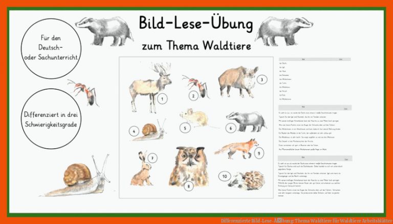 Differenzierte Bild-Lese-Ãbung: Thema Waldtiere für waldtiere arbeitsblätter