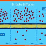 Diffusion â¢ Definition, Diffusion In Der Biologie Â· [mit Video] Fuer Diffusion Und Osmose Arbeitsblatt