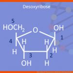 Dna Aufbau Â· Chromosomen, Nukleotid, Dna Doppelhelix Â· [mit Video] Fuer Bausteine Der Dna Arbeitsblatt