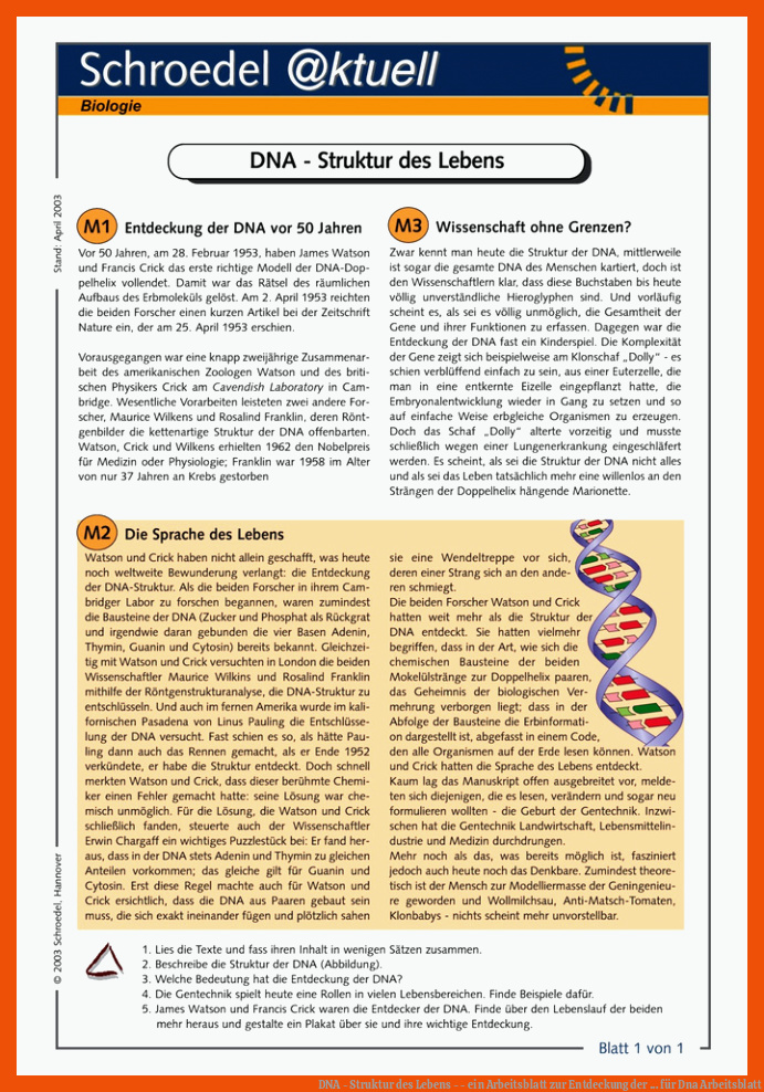 DNA - Struktur des Lebens - - ein Arbeitsblatt zur Entdeckung der ... für dna arbeitsblatt