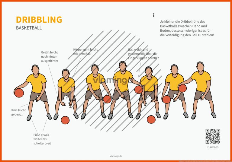 Dribbling / Dribbeln (basketball): Bewegungsbeschreibung & Technik Fuer Basketball Regeln Arbeitsblatt