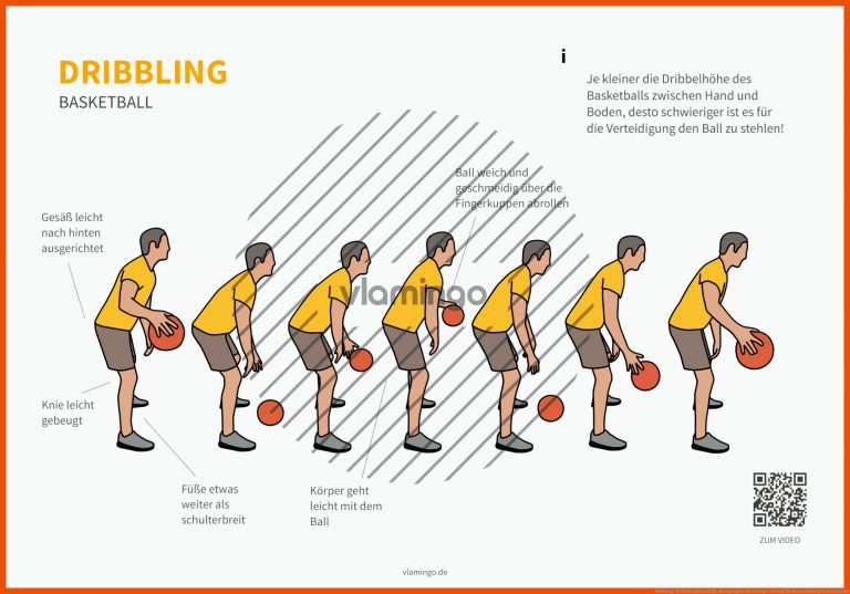 Dribbling / Dribbeln (basketball): Bewegungsbeschreibung & Technik Fuer Basketball Regeln Arbeitsblatt