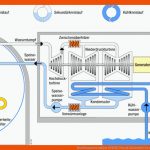 Druckwasserreaktor (dwr) Portal Sicherheit In Der Kerntechnik Fuer Kernkraftwerk Aufbau Arbeitsblatt