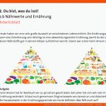 Du Bist, Was Du isst! - Kultur & Gesellschaft & soziales - Module ... Fuer Nährstoffe Arbeitsblatt