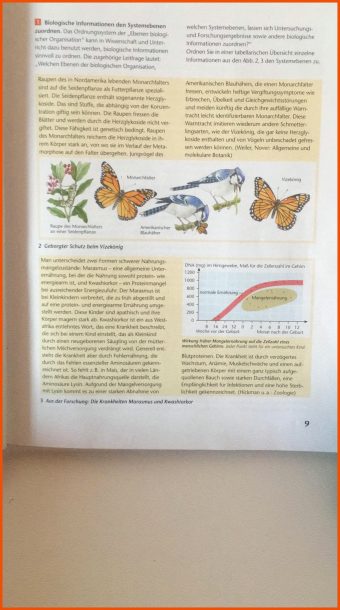 22 Systemebenen Biologie Arbeitsblatt