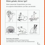 Ebookpdf_kleinerigel_webvorschau by Lehrmittel 4bis8 - issuu Fuer Arbeitsblatt Igel Kindergarten