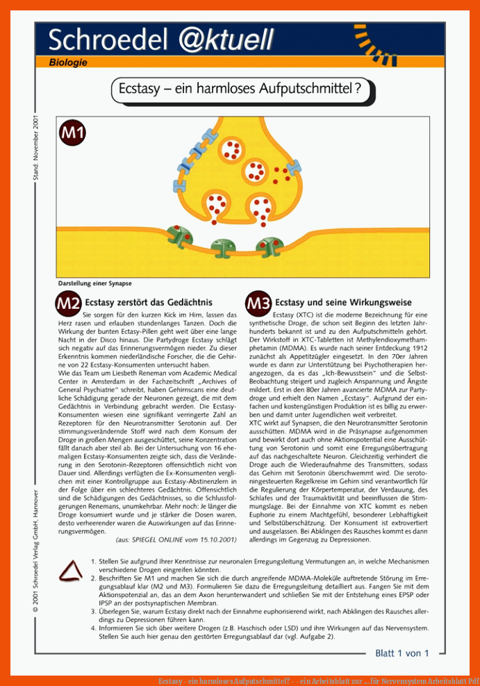 Ecstasy - ein harmloses Aufputschmittel? - - ein Arbeitsblatt zur ... für nervensystem arbeitsblatt pdf