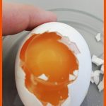 Eier Sezieren In Der Klasse 5e Fuer Aufbau Hühnerei Arbeitsblatt