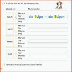 Ein Wortartenplakat Zu Nomen / Substantiven Von Franz Zebra ... Fuer Nomen Erkennen Arbeitsblatt