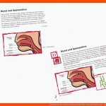 Einblick In Das Unterrichtsmaterial "der Weg Der Nahrung"- Bzfe Fuer Verdauungsorgane Arbeitsblatt