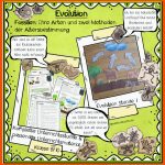 EinfÃ¼hrung In Die Evolution: Fossilien [digital] Fuer Fossilien Arbeitsblatt