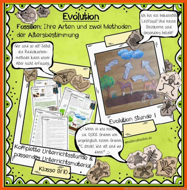 EinfÃ¼hrung in die Evolution: Fossilien [Digital] für fossilien arbeitsblatt