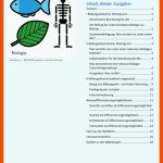 EinfÃ¼hrung In Die Fachdidaktik: Inklusiver Biologie-unterricht Fuer Systemebenen Biologie Arbeitsblatt
