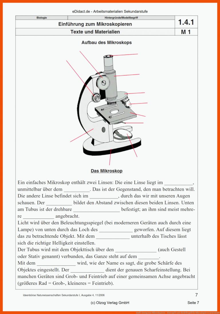 EinfÃ¼hrung Zum Mikroskopieren - HintergrÃ¼nde Modellbegriff Fuer Mikroskopieren Arbeitsblatt
