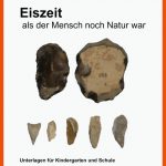 Eiszeit - Naturmuseum solothurn Fuer Gebiss Pflanzenfresser Fleischfresser Allesfresser Arbeitsblatt