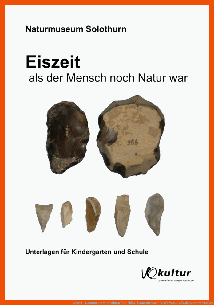 Eiszeit - Naturmuseum Solothurn für gebiss pflanzenfresser fleischfresser allesfresser arbeitsblatt
