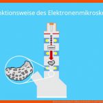 Elektronenmikroskop Â· Aufbau Und Funktion Â· [mit Video] Fuer Elektronenmikroskop Aufbau Arbeitsblatt