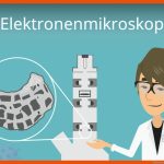 Elektronenmikroskop Fuer Elektronenmikroskop Aufbau Arbeitsblatt