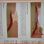 Entstehung Des Himalaya Gebirges? (schule, Geografie) Fuer Entstehung Kohle Arbeitsblatt