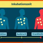 Entstehung & Verlauf Von Infektionskrankheiten â Beispiele & ErklÃ¤rung Fuer Ablauf Einer Immunreaktion Arbeitsblatt
