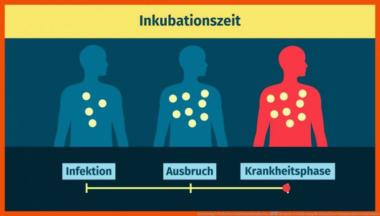 Entstehung & Verlauf Von Infektionskrankheiten â Beispiele & ErklÃ¤rung Fuer Ablauf Einer Immunreaktion Arbeitsblatt