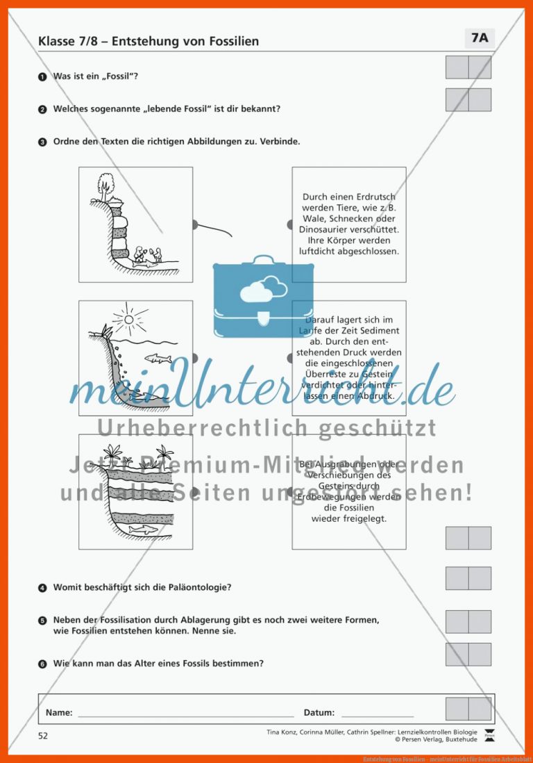 Entstehung Von Fossilien - Meinunterricht Fuer Fossilien Arbeitsblatt