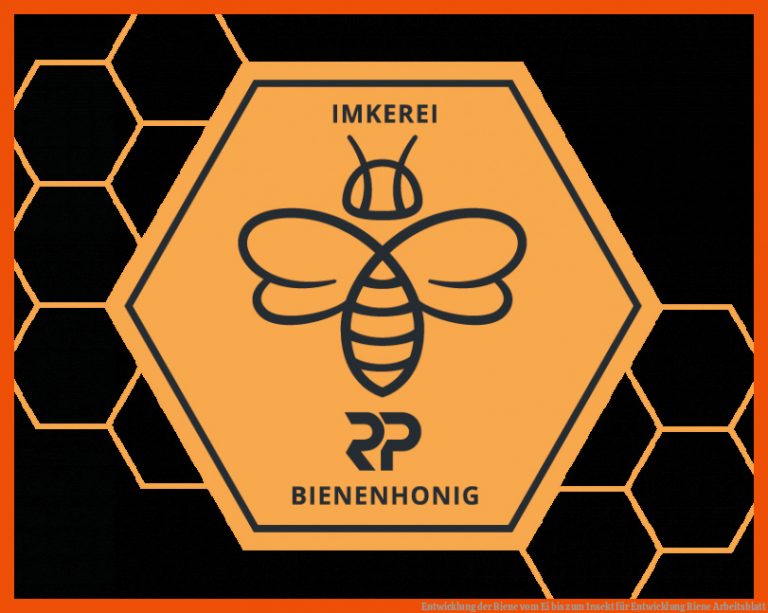 Entwicklung Der Biene Vom Ei Bis Zum Insekt Fuer Entwicklung Biene Arbeitsblatt