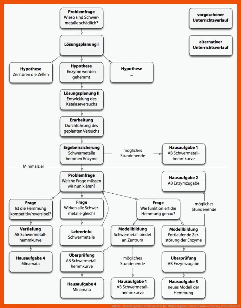 Enzyme - Hemmung Durch Schwermetalle [lp Ma] Biologieunterricht.info Fuer Verdauung Arbeitsblatt Pdf