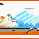 Erdbeben FÃ¼r SchÃ¼ler: Erdbeben Und Tsunamis Fuer Entstehung Tsunami Arbeitsblatt
