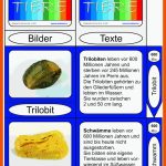 Erdzeitalter - Die Geschichte Der Erde Fuer Arbeitsblatt Erdzeitalter überblick