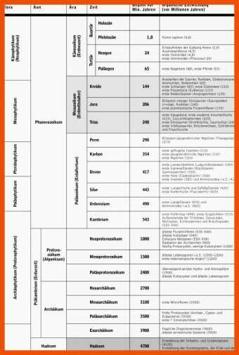 8 Arbeitsblatt Erdzeitalter überblick