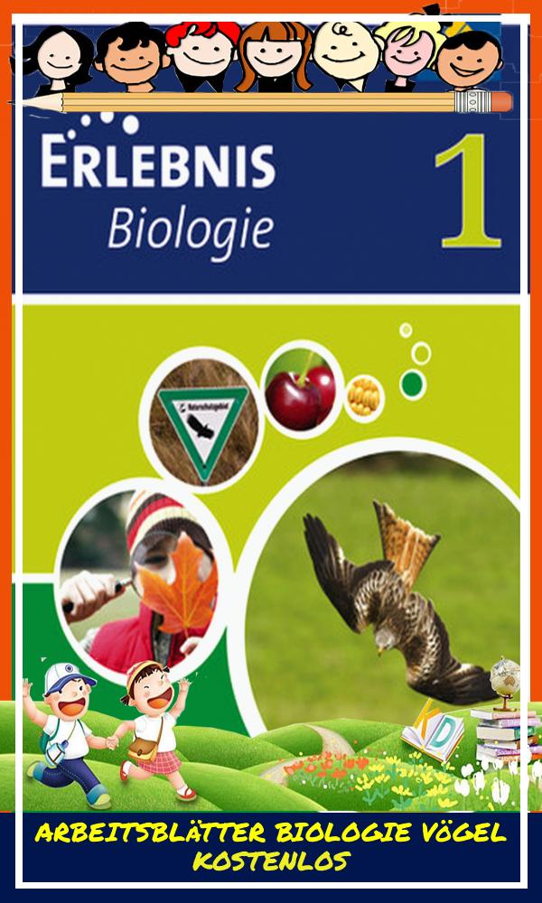 Arbeitsblätter Biologie Vögel Kostenlos