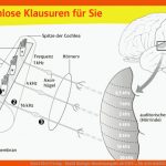 Ernst Klett Verlag - Markl Biologie Bundesausgabe Ab 2018 ... Fuer Arbeitsblätter Biologie Ernst Klett Verlag