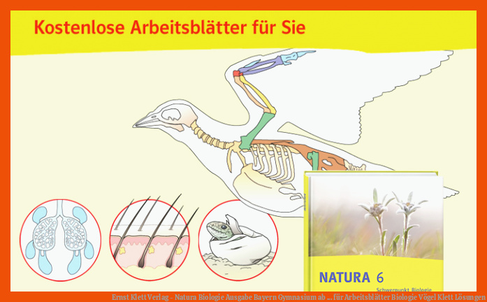 Ernst Klett Verlag - Natura Biologie Ausgabe Bayern Gymnasium ab ... für arbeitsblätter biologie vögel klett lösungen