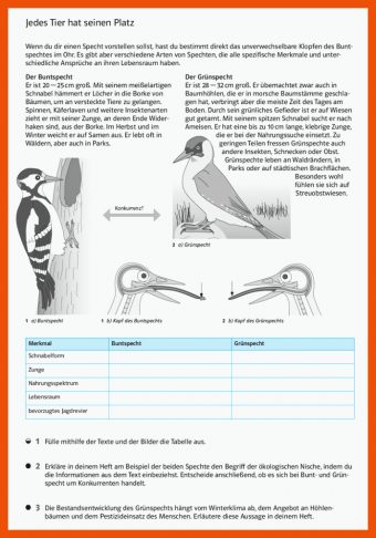 23 Arbeitsblätter Biologie Vögel Klett Lösungen