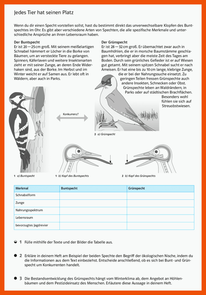 Ernst Klett Verlag - Natura Biologie Ausgabe Bayern Gymnasium ab ... für arbeitsblätter biologie vögel klett lösungen