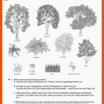 Ernst Klett Verlag - Natura Biologie Ausgabe Bayern Gymnasium Ab ... Fuer Biologie Klasse 6 Pflanzen Arbeitsblätter Kostenlos