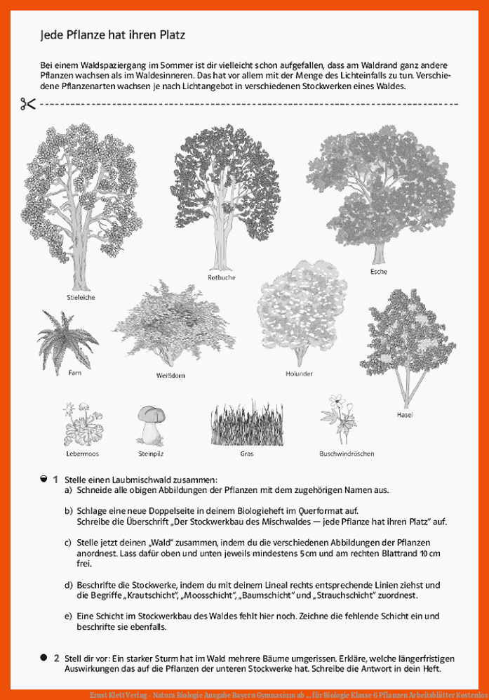 Ernst Klett Verlag - Natura Biologie Ausgabe Bayern Gymnasium ab ... für biologie klasse 6 pflanzen arbeitsblätter kostenlos