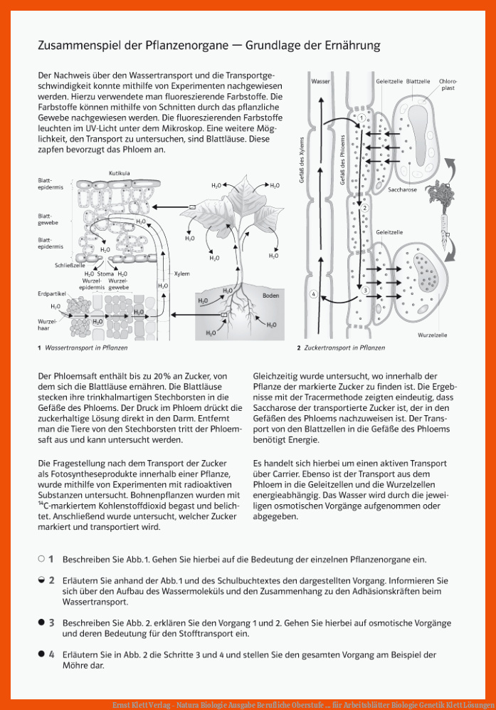 Ernst Klett Verlag - Natura Biologie Ausgabe Berufliche Oberstufe ... Fuer Arbeitsblätter Biologie Genetik Klett Lösungen