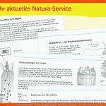 Ernst Klett Verlag - Natura Biologie Ausgabe Berufliche Oberstufe ... Fuer Arbeitsblätter Biologie Vögel Klett Lösungen