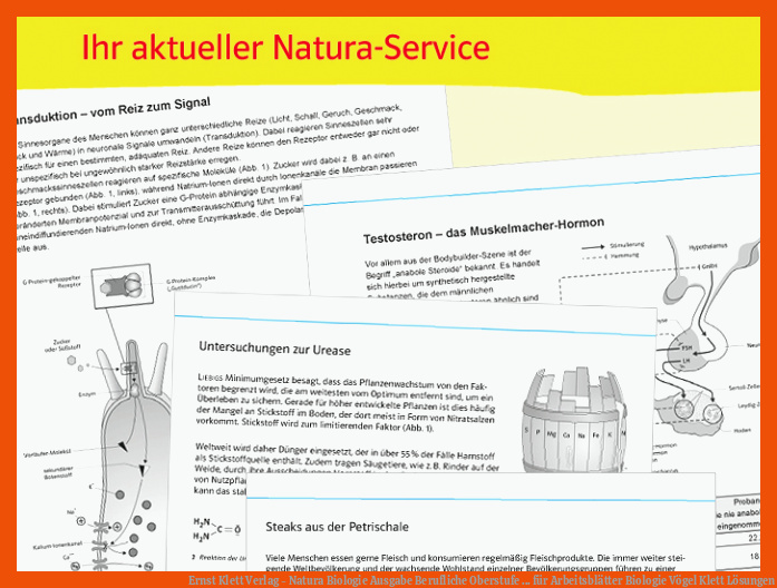 Ernst Klett Verlag - Natura Biologie Ausgabe Berufliche Oberstufe ... für arbeitsblätter biologie vögel klett lösungen