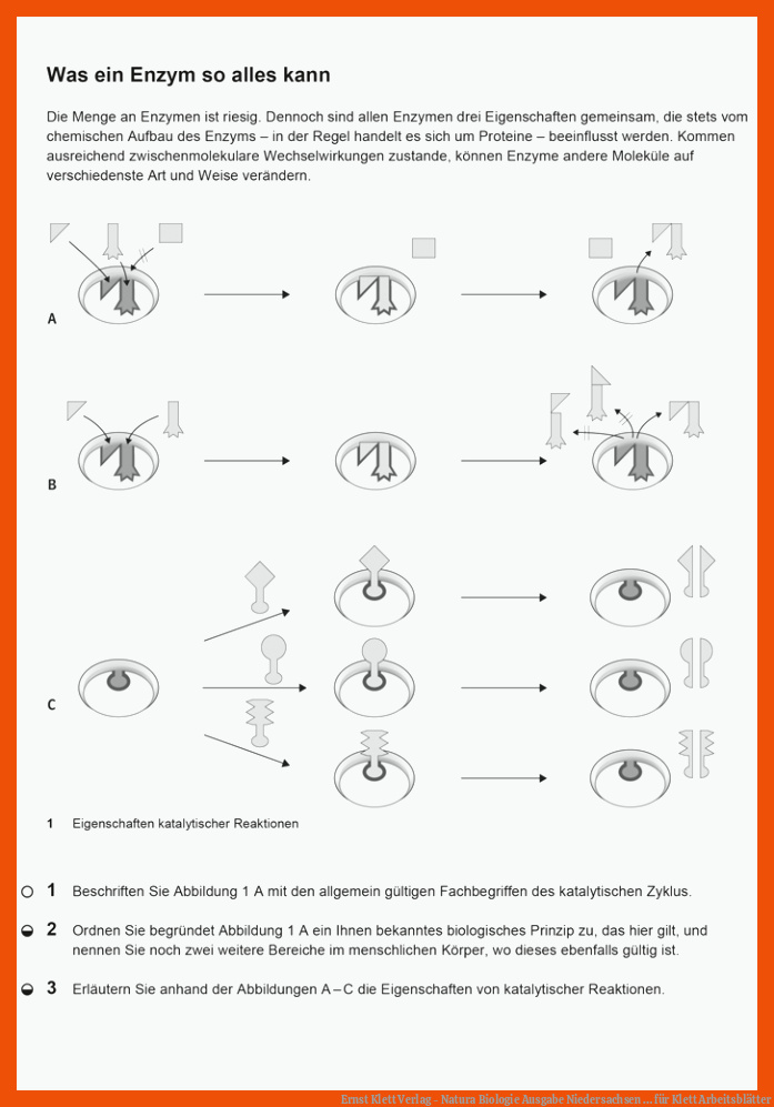 Ernst Klett Verlag - Natura Biologie Ausgabe Niedersachsen ... für klett arbeitsblätter