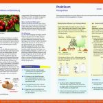 Ernst Klett Verlag - Natura Biologie Ausgabe nordrhein-westfalen ... Fuer Arbeitsblätter Biologie Blütenpflanzen Klett Lösungen