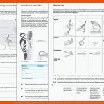 Ernst Klett Verlag - Natura Biologie Ausgabe nordrhein-westfalen ... Fuer Arbeitsblätter Biologie Genetik Klett Lösungen