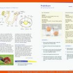 Ernst Klett Verlag - Natura Biologie Ausgabe nordrhein-westfalen ... Fuer Arbeitsblätter Biologie Vögel Klett Lösungen