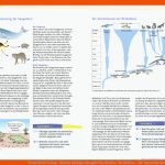 Ernst Klett Verlag - Natura Biologie Ausgabe nordrhein-westfalen ... Fuer Stammbaum Wirbeltiere Arbeitsblatt